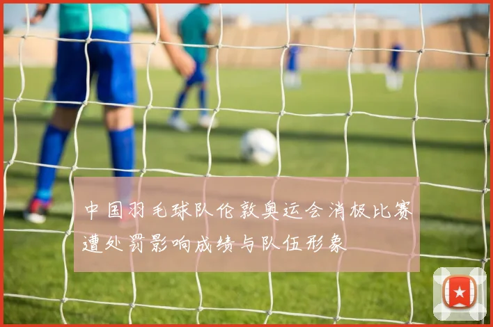 中国羽毛球队伦敦奥运会消极比赛遭处罚影响成绩与队伍形象